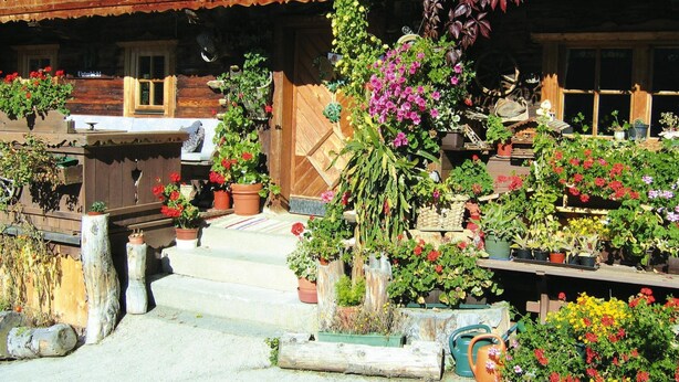 A rustic wooden building with a porch filled with potted plants and flowers. - Apartment in Wildschonau by Schatzberg Lift (Wildschönau)