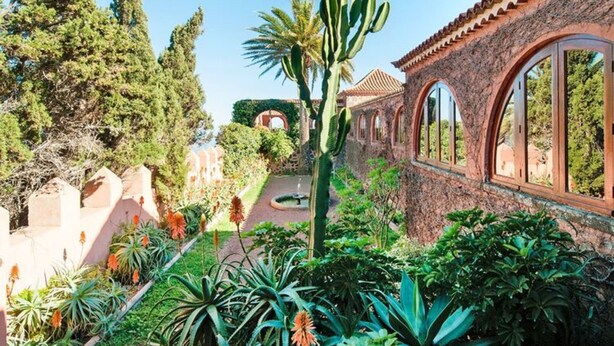 A courtyard with a cactus, palm trees, and a fountain. - Villa Mansion Bandama, Santa Brigida (Santa Brigida)