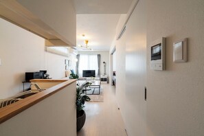 Flat-screen TV