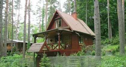 Fenced Cottage in the Middle of Nature, Right by the Lake, Rentyny