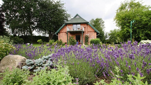 A small brick house with a green roof and a balcony, surrounded by a garden with purple flowers and various plants.