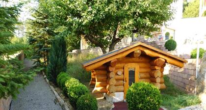 Apartment in Veringendorf With Garden