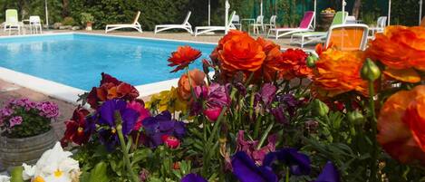 Appartement | Piscine | Piscine extérieure