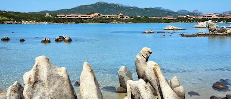 Apartment | Water view