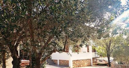 Apartment in Starigrad Near Paklenica