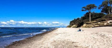 Vue depuis l’hébergement