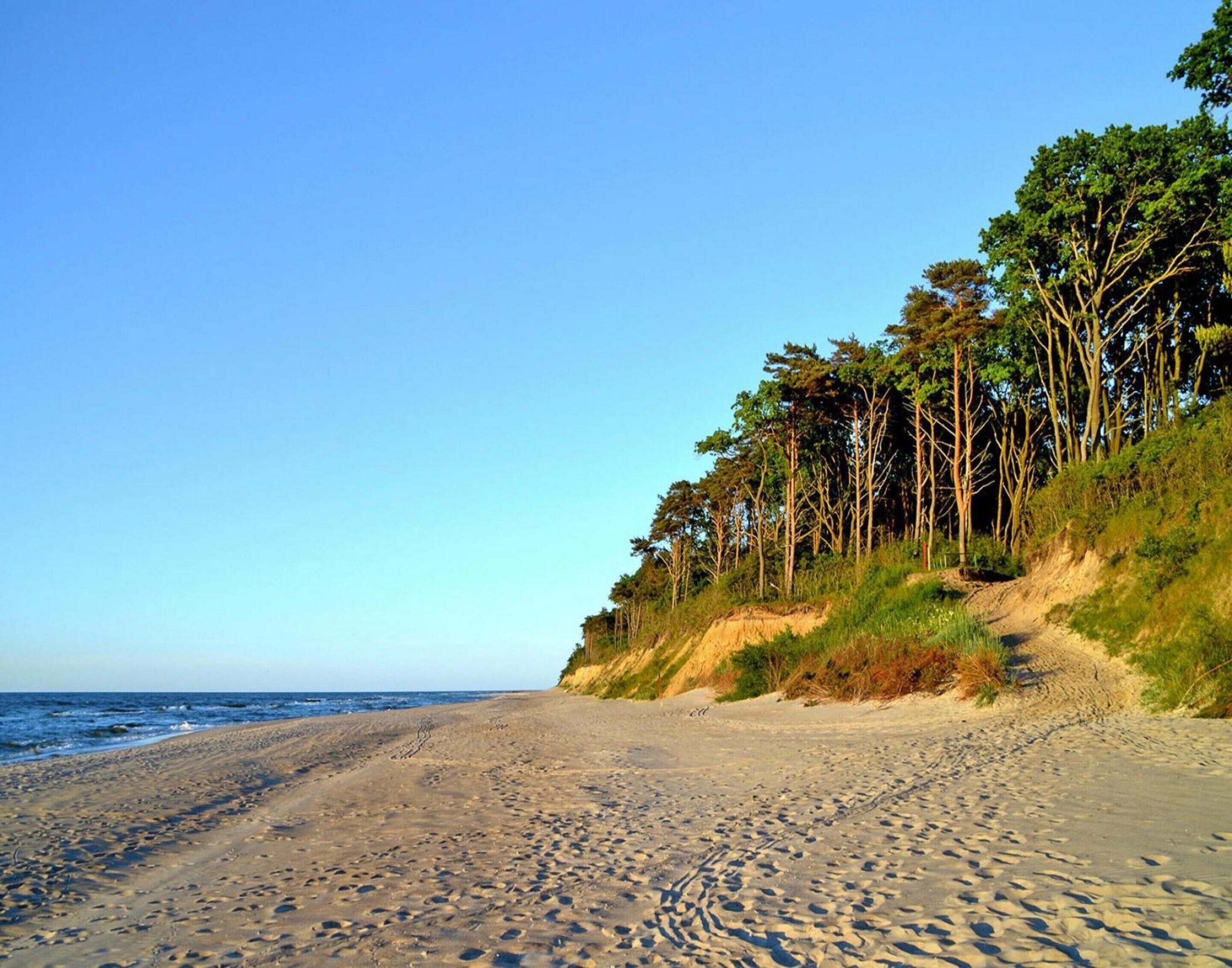 Casa | Vista desde la propiedad