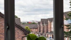 A view through a window with a potted plant in the foreground, a street with parked cars, and residential buildings in the background.