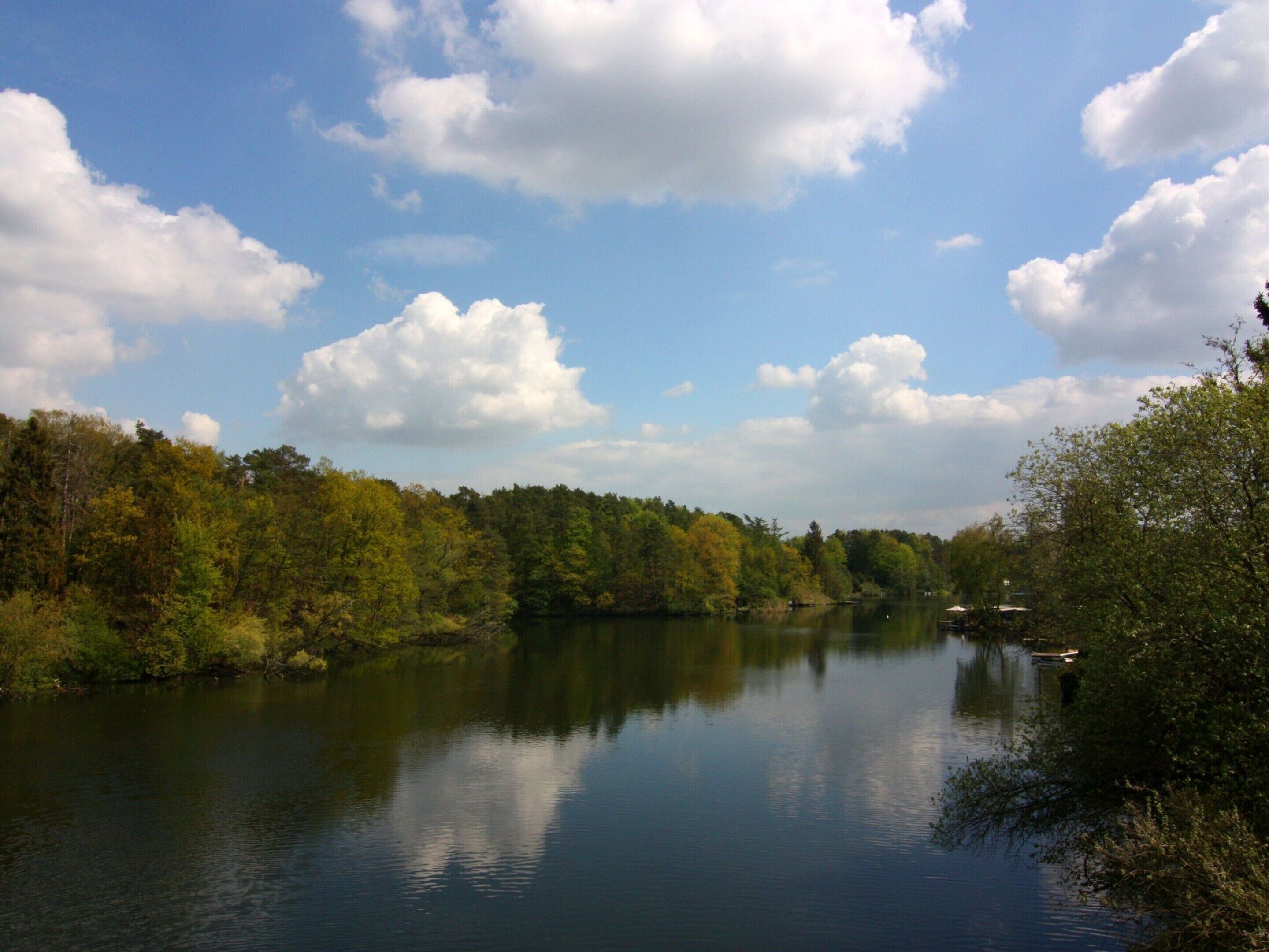 A calm lake surrounded by dense forest with a clear sky.