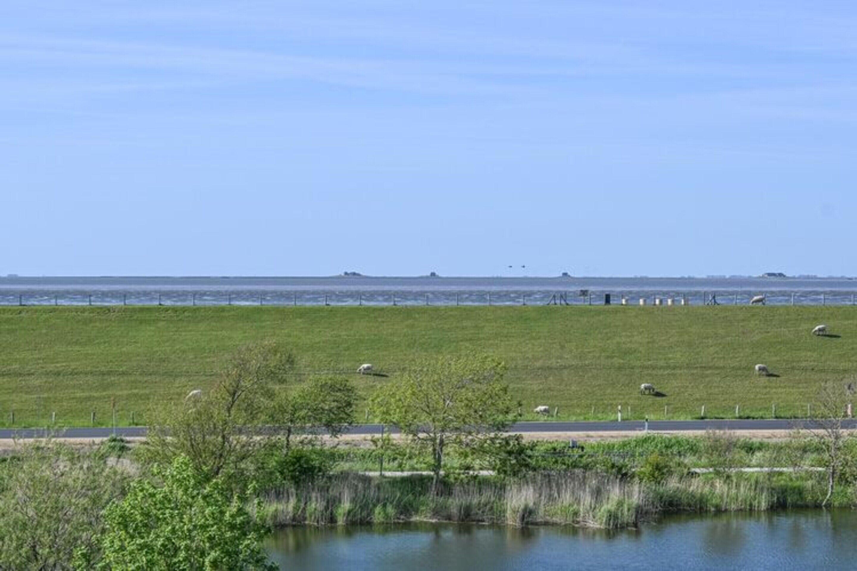 Un campo cubierto de hierba con una masa de agua al frente y una costa lejana.