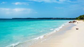 Căn hộ | Quang cảnh nhìn từ nơi lưu trú