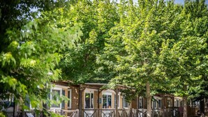 A row of wooden cabins with balconies, surrounded by lush green trees. - Mobile Home for dog Owners in Caorle (Caorle)