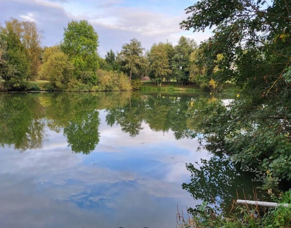 A calm lake surrounded by dense trees and greenery.