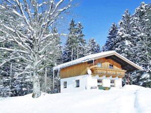Exterior - Holiday Home in St. Koloman Near Salzburg (Sankt Koloman)