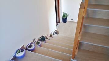 Apartment | Interior