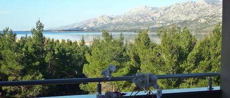 الإطلالة من المنشأة