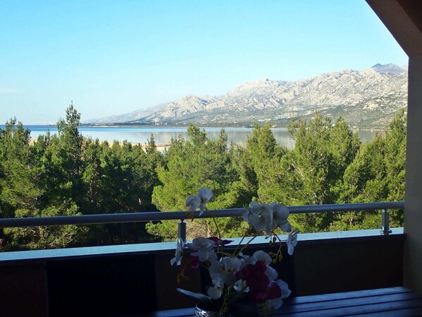 Apartment | View from property - Apartment in Rovanjska Near Velebit Mountains (Jasenice)