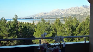 Apartment | View from property