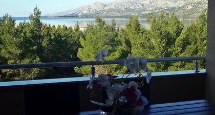 Apartment in Rovanjska Near Velebit Mountains