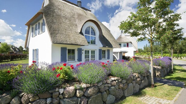 A house with a thatched roof, white walls, and a stone wall garden with lavender and red flowers. - Luxushaus Boddenkuste mit Sauna (Fuhlendorf)