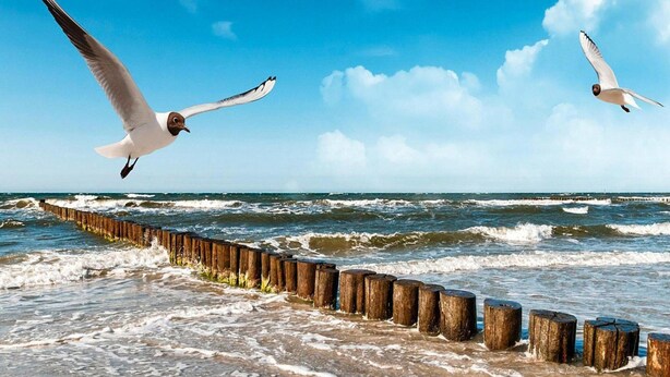 A beach with wooden sea walls and waves crashing onto the shore. - Cottage in Rusinowo Near Seaside Beach (Postomino)