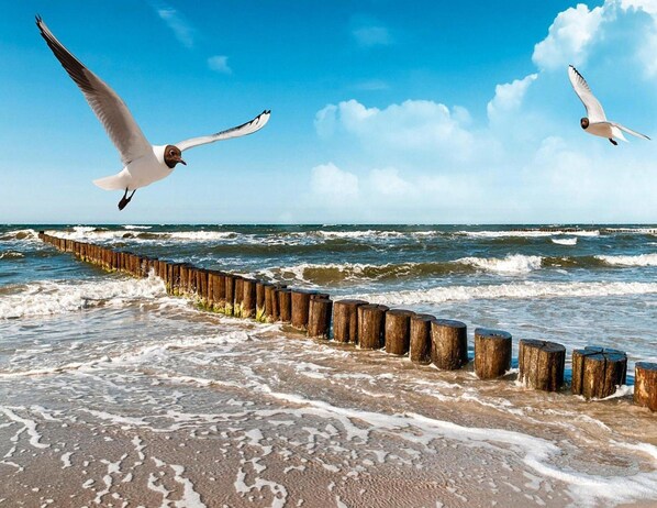 Huis | Uitzicht vanuit accommodatie