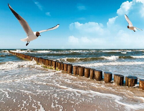 Cottage in Rusinowo Near Seaside Beach