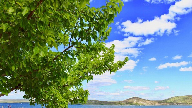 Blick auf einen See mit klarem Himmel, ruhigem Wasser und einer entfernten Hügelkette.
