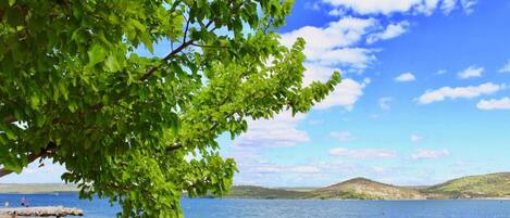 Apartment | View from property