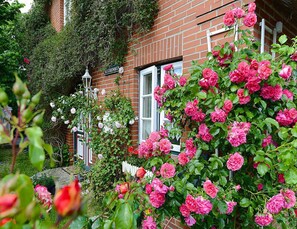 Apartment | Garden - Ferienwohnung in Oevenum auf Foehr (Oevenum)