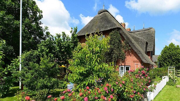 A traditional thatched-roof house surrounded by a well-maintained garden with blooming roses. - Ferienwohnung in Oevenum auf Foehr (Oevenum)