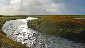 A river flowing through a marshy landscape with a clear sky and sunlight. - Ferienwohnung in Oevenum auf Foehr (Oevenum)