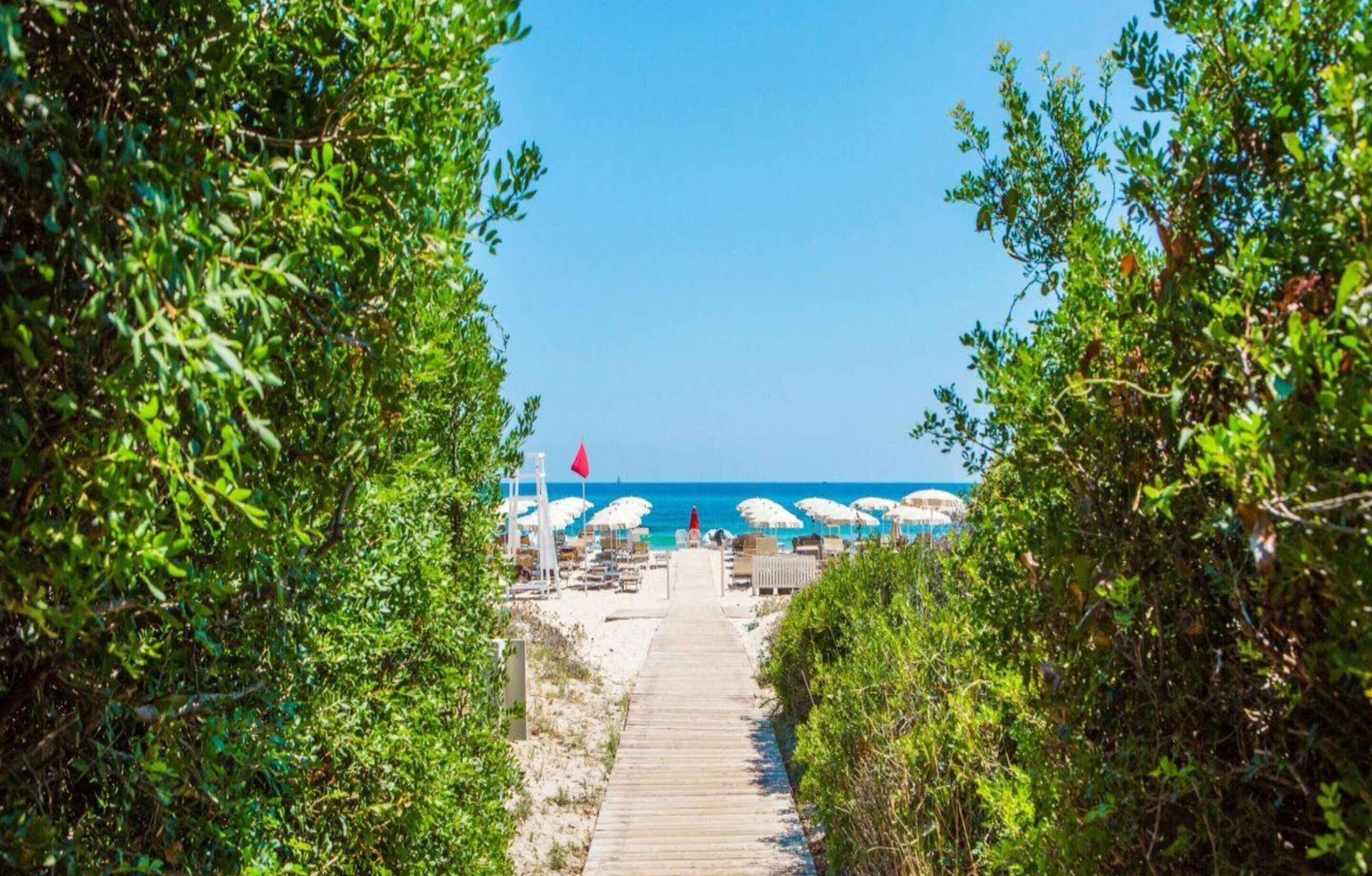 Un sentier menant à la plage, bordé de parasols et de chaises longues.