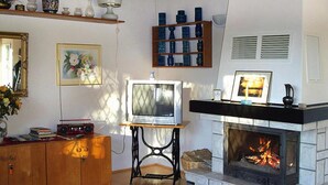 Een woonkamer met een open haard, een televisie en diverse decoratieve objecten op planken.