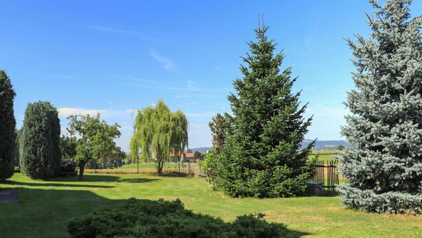 A well-maintained garden with various trees and shrubs, a clear blue sky, and a distant view of a house. - Ferienwohnung Festungsblick in Pirna (Pirna)