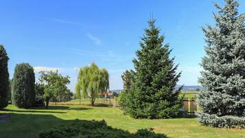 Apartment | View from property