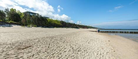 Uma extensa praia de areia com céu claro e área arborizada ao fundo.
