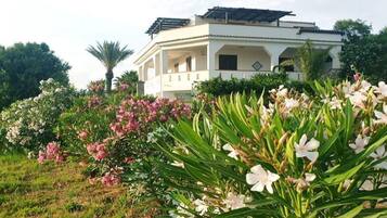 Apartment | View from property