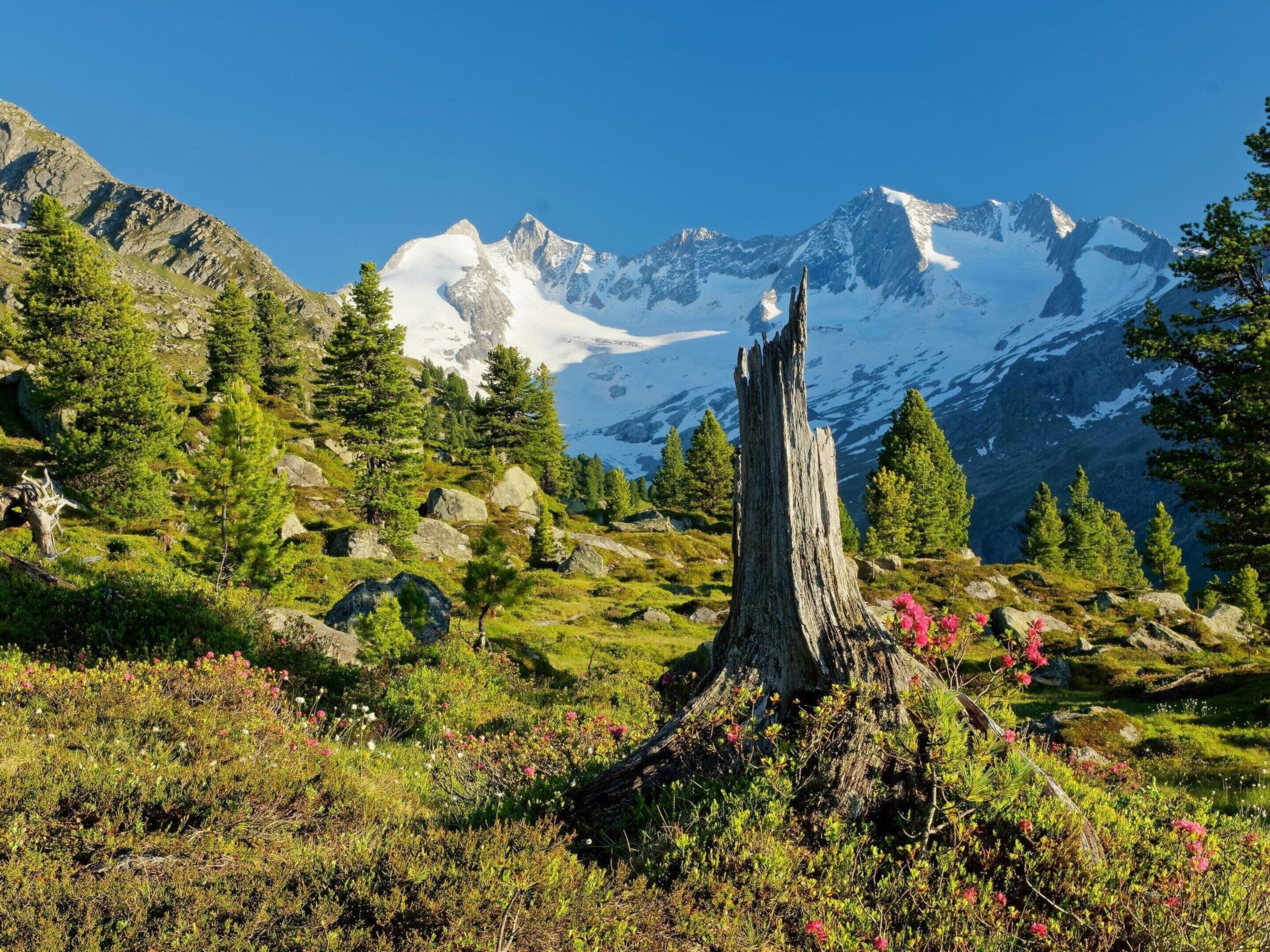 單棟房屋 | 住宿景觀