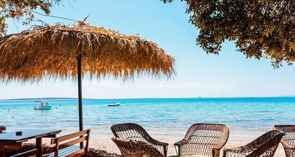 Apartments Danijela, Stara Novalja, Near the Beach