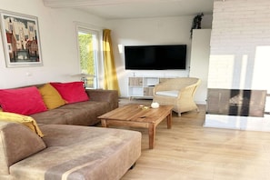 Smart-TV, Kamin