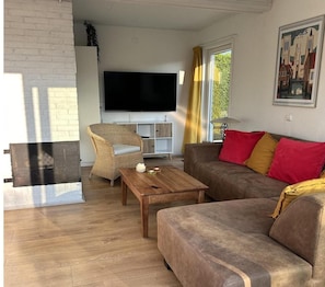 Smart-TV, Kamin