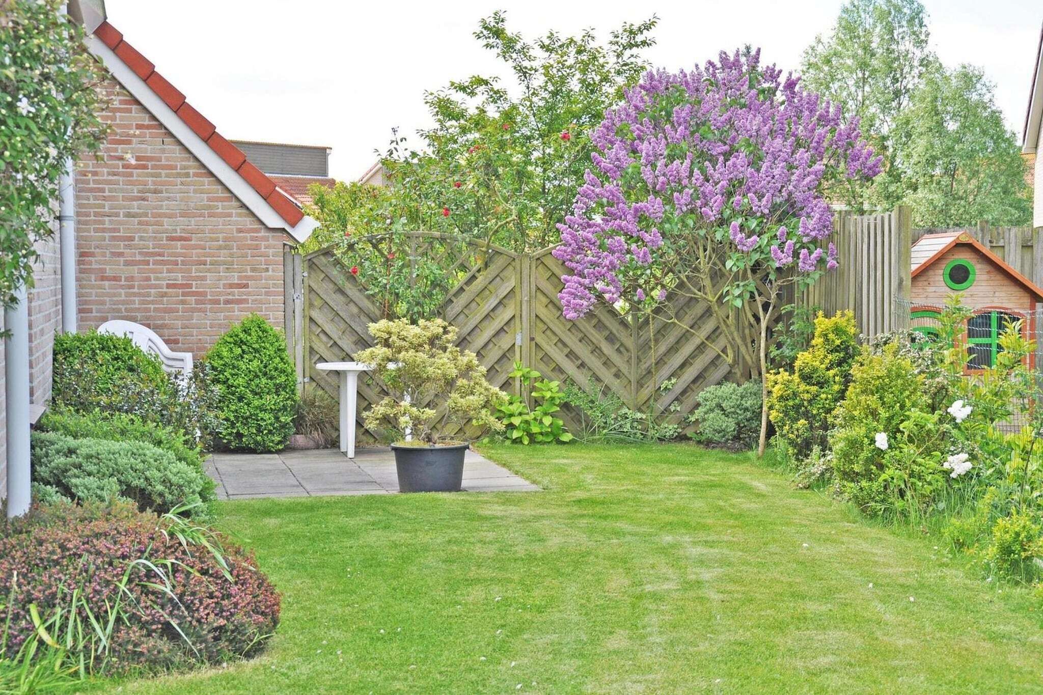 Een achtertuin met een houten schutting, een klein tuinhuisje en verschillende planten en bloemen.