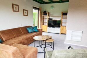 Smart-TV, Kamin