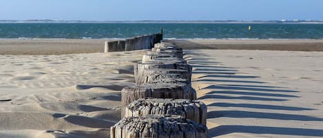 Nära stranden