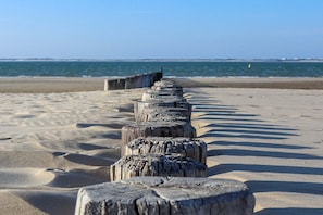 A sandy beach with a row of weathered wooden posts leading to the water.