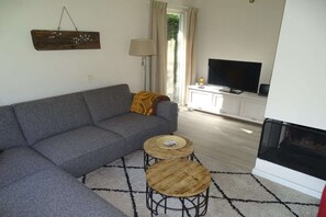 Smart-TV, Kamin