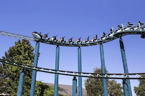 Imagen general
