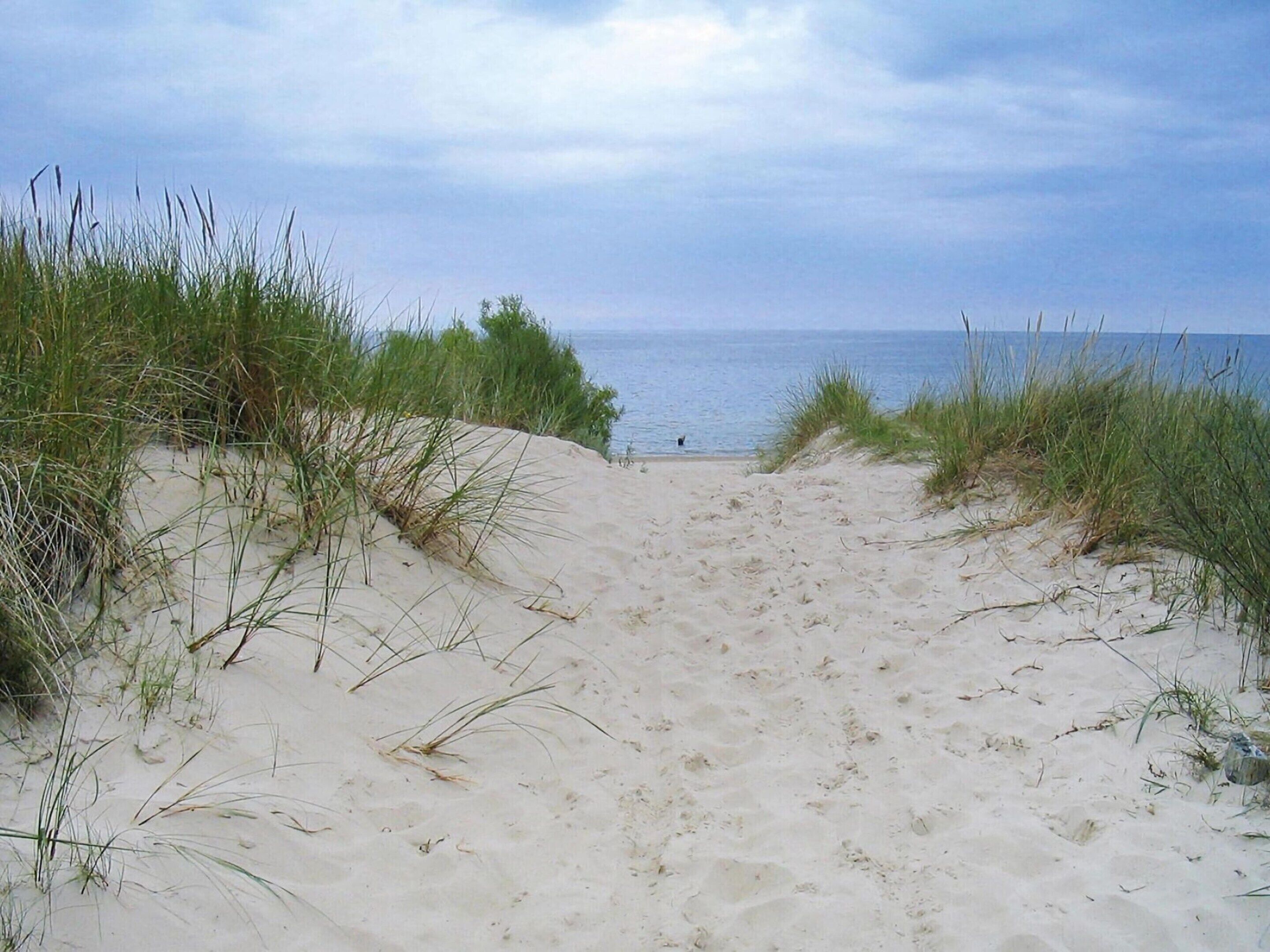 Ferienhaus | Blick von der Unterkunft