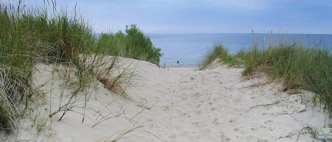 Ferienhaus | Blick von der Unterkunft